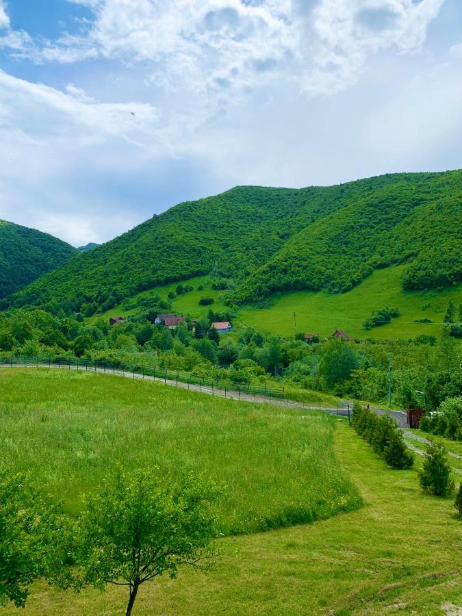 Rustic Cottage Sibiu Buitenkant foto